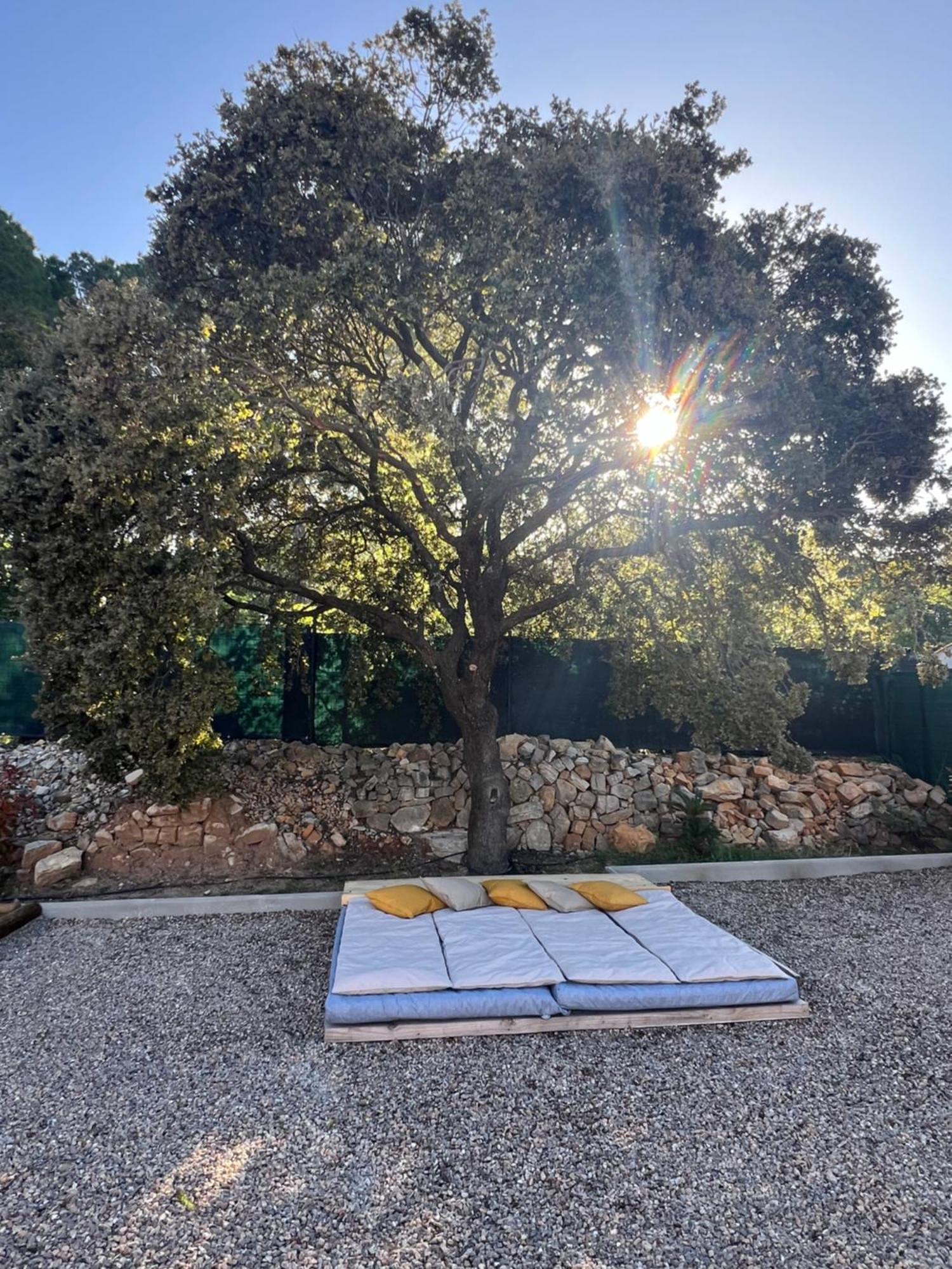 Villa La Provence Piscine Privee, Petanque Et Barbecue à Les Arcs-sur-Argens Extérieur photo